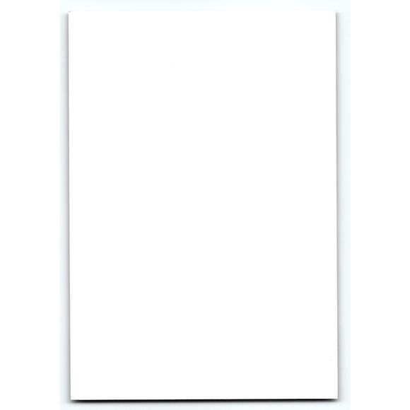 Vintage Halloween Postcard Black Cat on Books with Red Roses Chrome - Picture 2 of 2